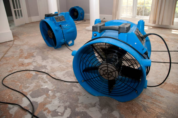 Best 24/7 water damage repair  in Las Lomas, TX