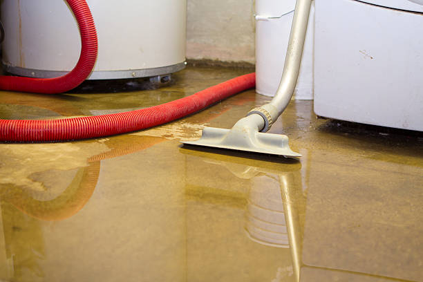 Best Water damage cleanup near me  in Las Lomas, TX