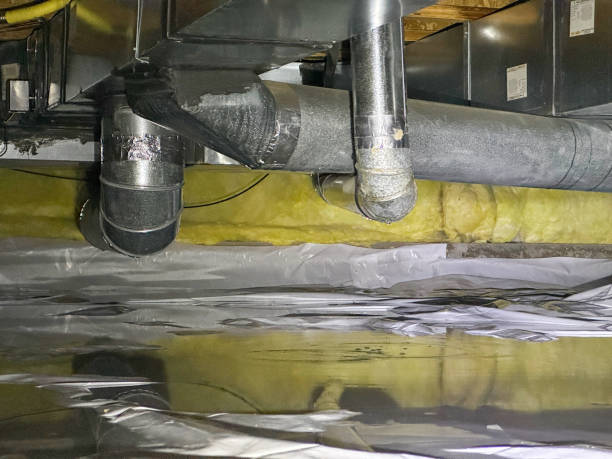 Best 24-hour water damage restoration  in Las Lomas, TX