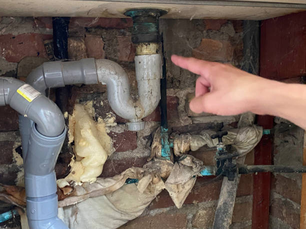 Best Residential water damage restoration  in Las Lomas, TX