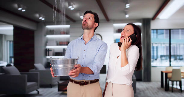 Best Basement water damage restoration  in Las Lomas, TX