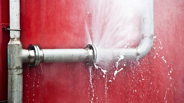 Best Flooded house restoration  in Las Lomas, TX